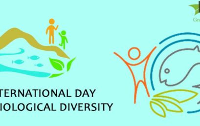 International Day for Biological Diversity Day – 22nd May