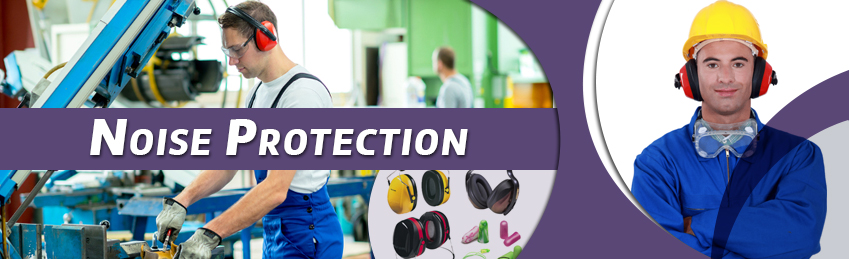 Inhouse Corporate Training Noise Protection 